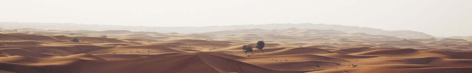ļڻ޹˾